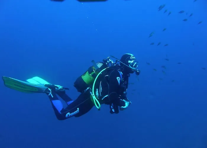 Apartament Central 公寓 *